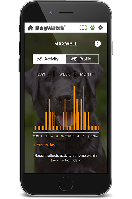 DogWatch of Southern Connecticut, Fairfield, Connecticut | SmartFence WebApp Image