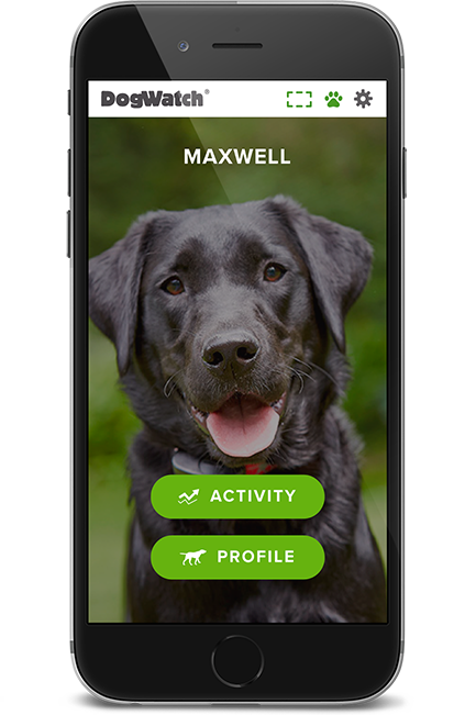 DogWatch of Southern Connecticut, Fairfield, Connecticut | SmartFence WebApp Image