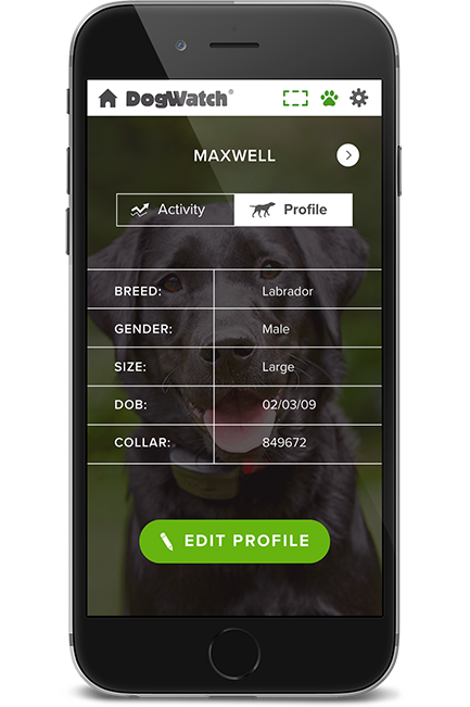 DogWatch of Southern Connecticut, Fairfield, Connecticut | SmartFence WebApp Image